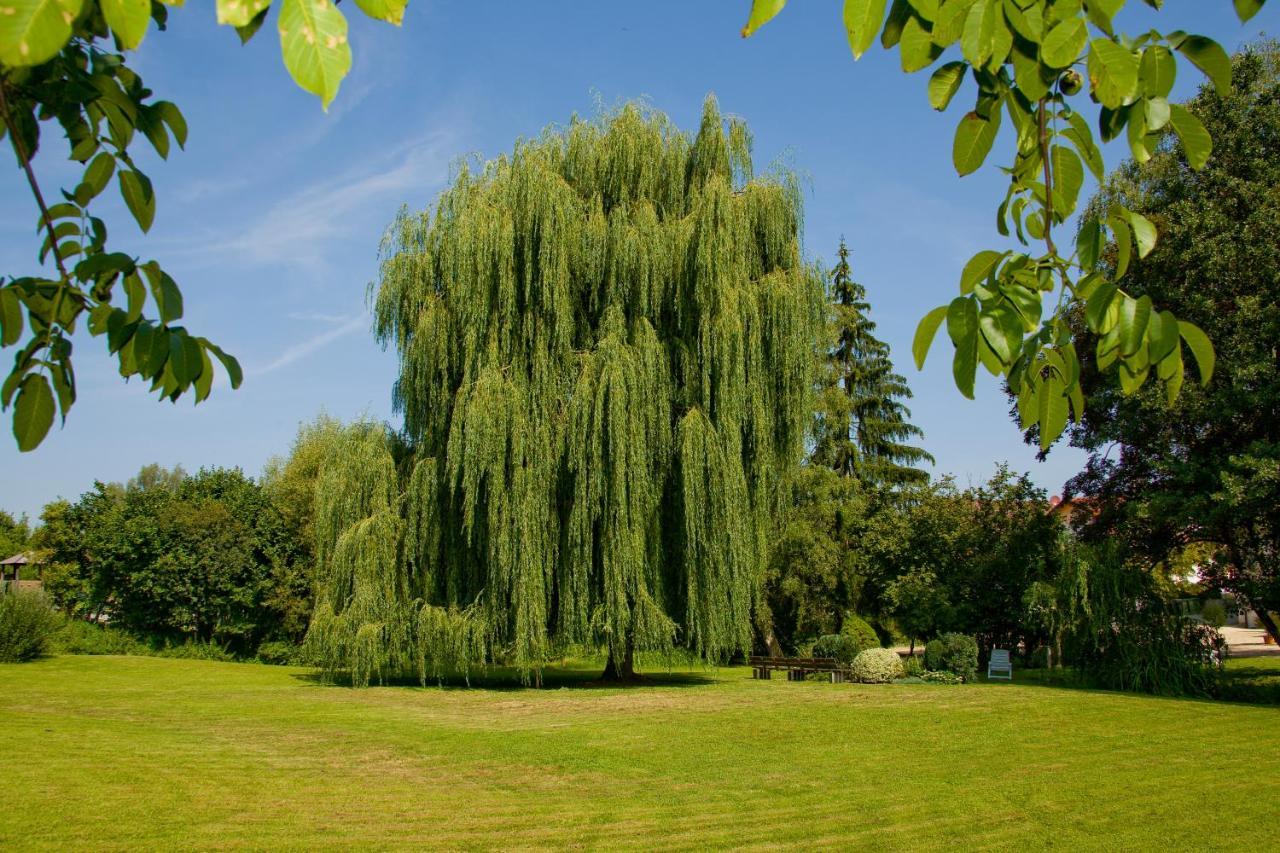 Schoenenberger Hof Orsingen-Nenzingen Ngoại thất bức ảnh